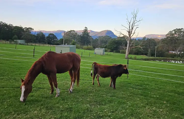 60 Mount Scanzi Road, Kangaroo Valley NSW 2577