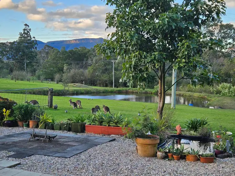 60 Mount Scanzi Road, Kangaroo Valley NSW 2577