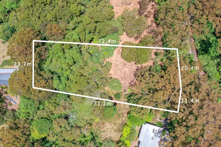 Main view of Homely land listing, 38 Banksia Road, Springbrook QLD 4213