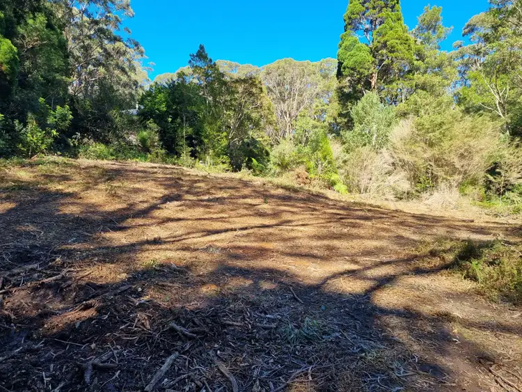 Fourth view of Homely land listing, 38 Banksia Road, Springbrook QLD 4213