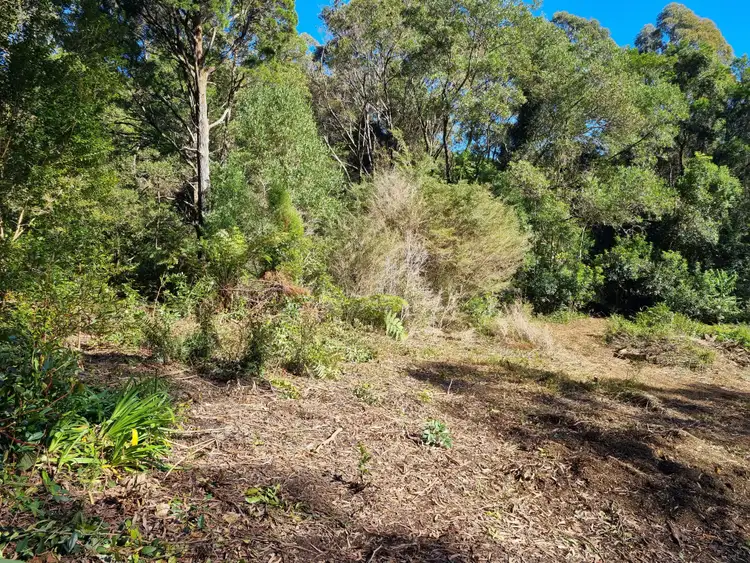 Seventh view of Homely land listing, 38 Banksia Road, Springbrook QLD 4213
