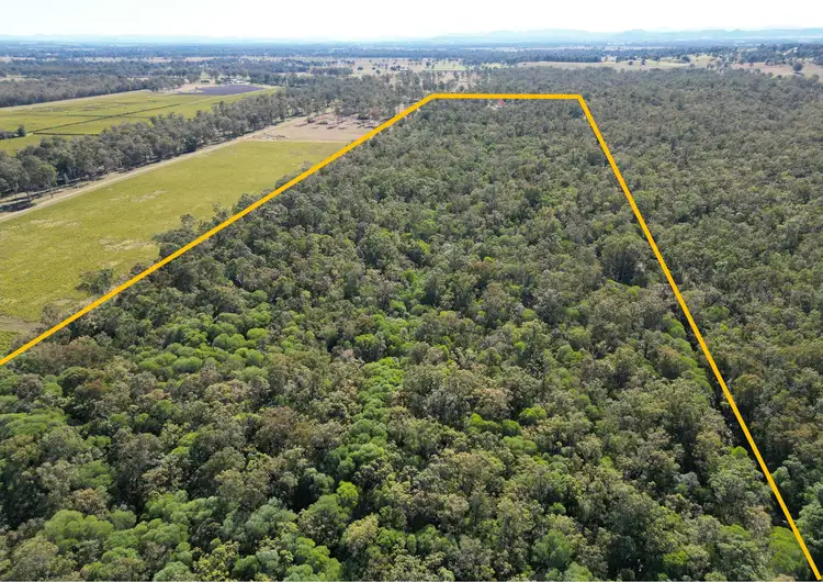 Third view of Homely rural property listing, 320 Ryans Road, Yorklea NSW 2470