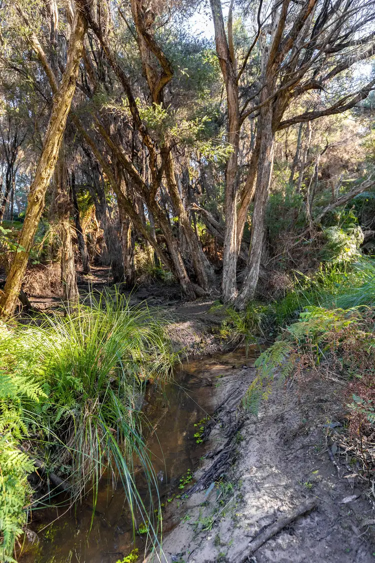 Sixth view of Homely land listing, 51 Appleby Road, Northdown TAS 7307