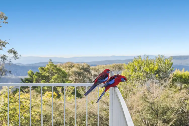 Third view of Homely house listing, 95 Great Western Highway, Wentworth Falls NSW 2782