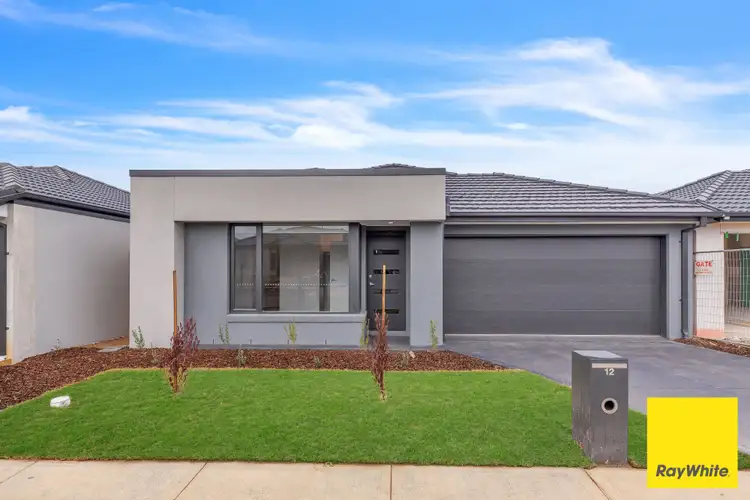 12 Nurture Street, Mambourin VIC 3024