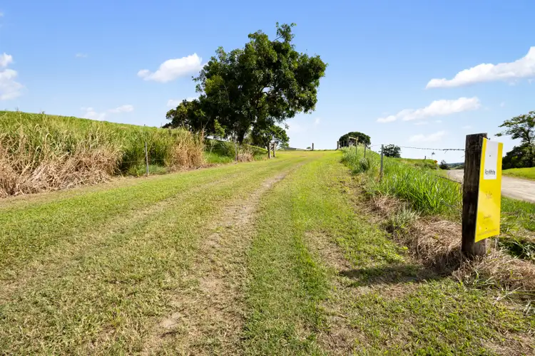 Sixth view of Homely land listing, 299 Upper Daintree Road, Upper Daintree, Daintree QLD 4873