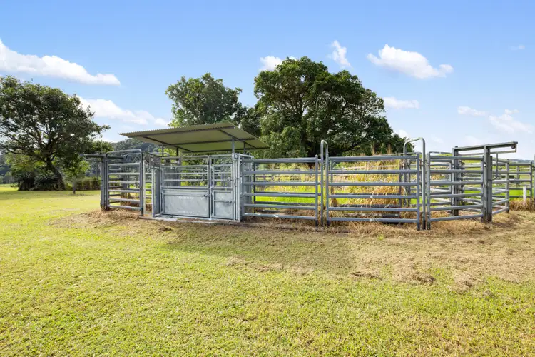 Seventh view of Homely land listing, 299 Upper Daintree Road, Upper Daintree, Daintree QLD 4873