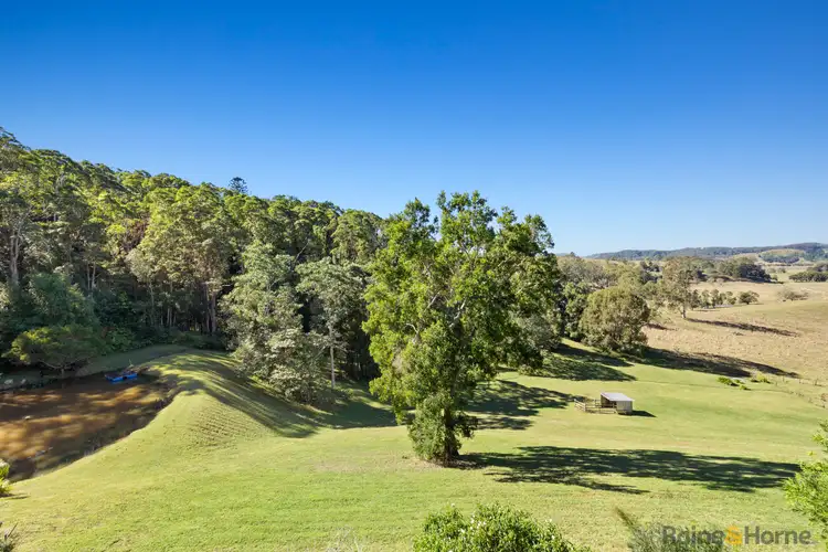 55 Wallum Court, Reserve Creek NSW 2484