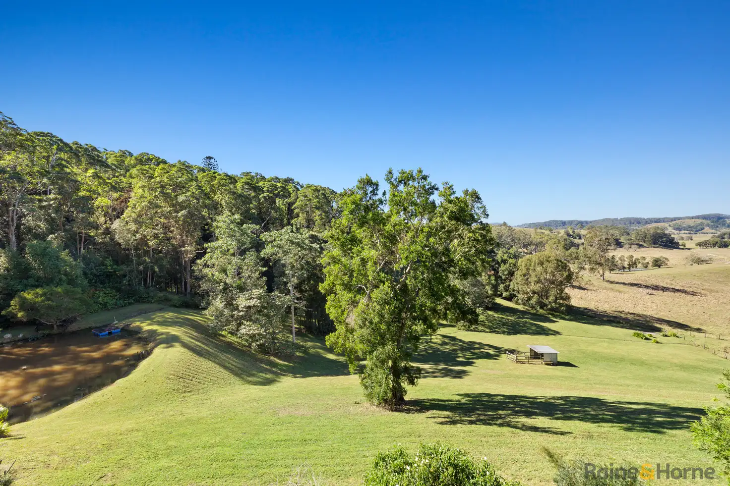 Main view of Homely rural property listing, 55 Wallum Court, Reserve Creek NSW 2484