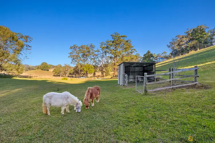 Second view of Homely rural property listing, 55 Wallum Court, Reserve Creek NSW 2484