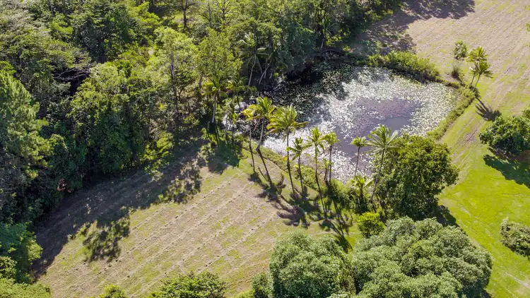 Fourth view of Homely rural property listing, 108 Hall Road, Gordonvale QLD 4865