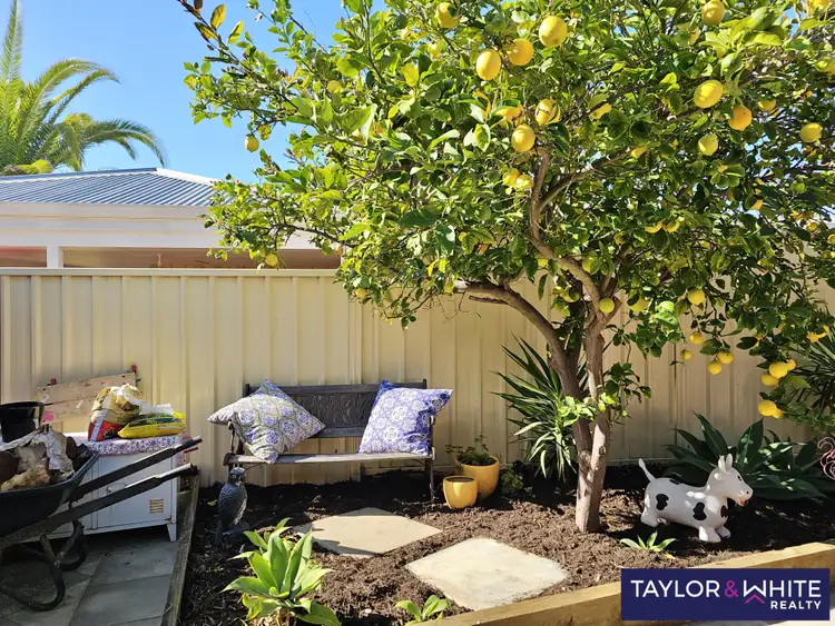 Fifth view of Homely house listing, 31 Victorsen Parade, Clarkson WA 6030