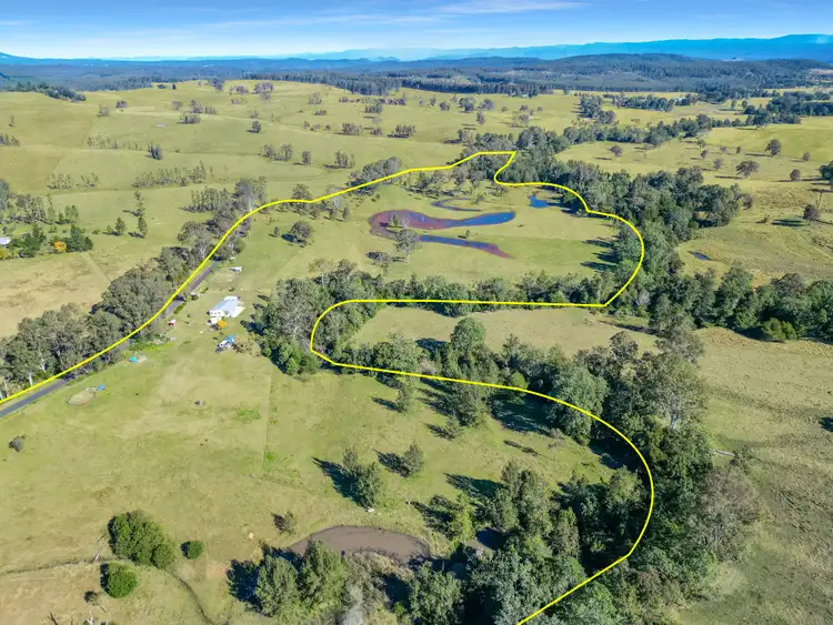 Main view of Homely rural property listing, 161 Tabulam Road, Lower Bottle Creek NSW 2469