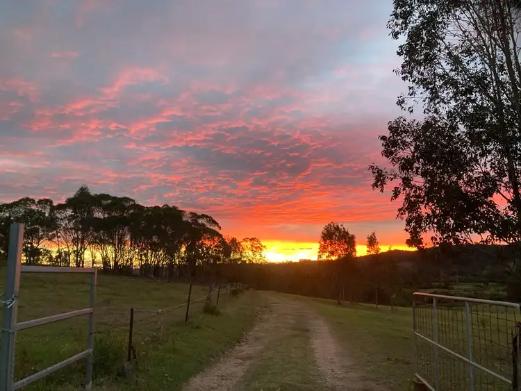 620 Tabulam Road, Lower Bottle Creek NSW 2469