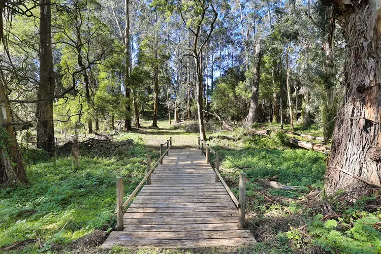 Second view of Homely rural property listing, Lot 6 Main South Road, Hallora VIC 3818
