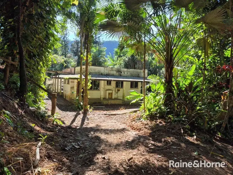 49 Ronald Road, Forest Creek, Daintree QLD 4873
