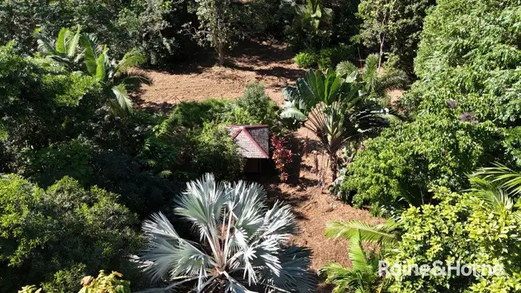 Second view of Homely land listing, 49 Ronald Road, Forest Creek, Daintree QLD 4873