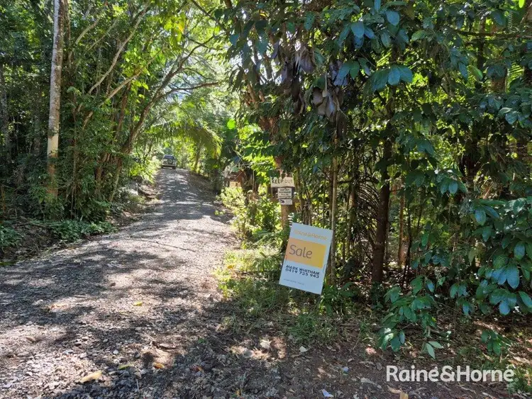Fourth view of Homely land listing, 49 Ronald Road, Forest Creek, Daintree QLD 4873