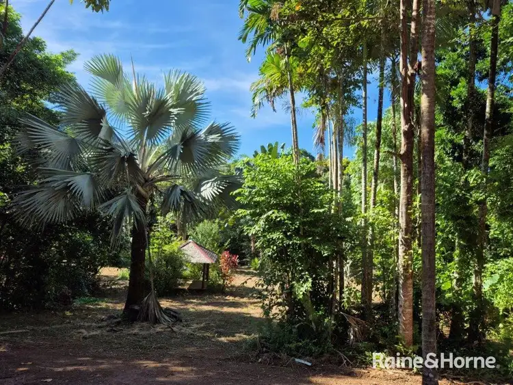 Fifth view of Homely land listing, 49 Ronald Road, Forest Creek, Daintree QLD 4873