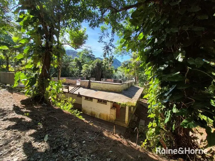 Sixth view of Homely land listing, 49 Ronald Road, Forest Creek, Daintree QLD 4873