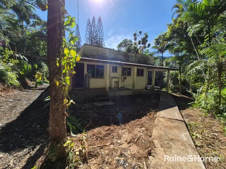 Seventh view of Homely land listing, 49 Ronald Road, Forest Creek, Daintree QLD 4873