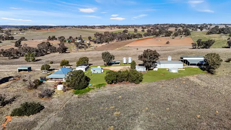 373 Milvale Road, Young NSW 2594