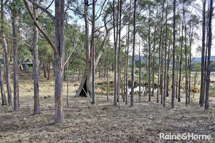 Fifth view of Homely house listing, 87 Shrub End Road, Pawleena TAS 7172