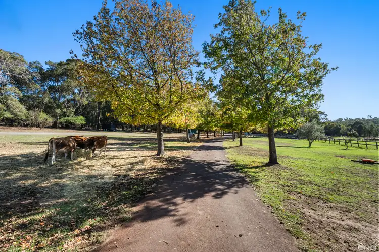 Main view of Homely house listing, 69 Dmietrieff Road, Bedfordale WA 6112