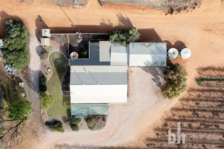 Third view of Homely rural property listing, 254 Dunstone Road, Barmera SA 5345