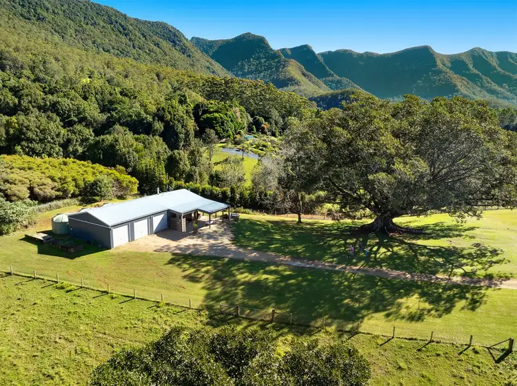 235 Limpinwood Valley Road, Limpinwood NSW 2484