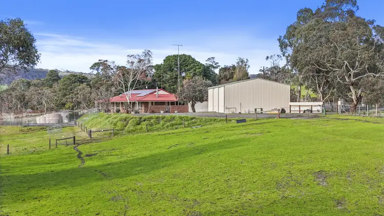 784 Back Valley Road