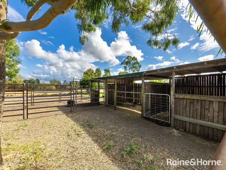 Sixth view of Homely rural property listing, 438 Three Chain Road, Woongarra QLD 4670