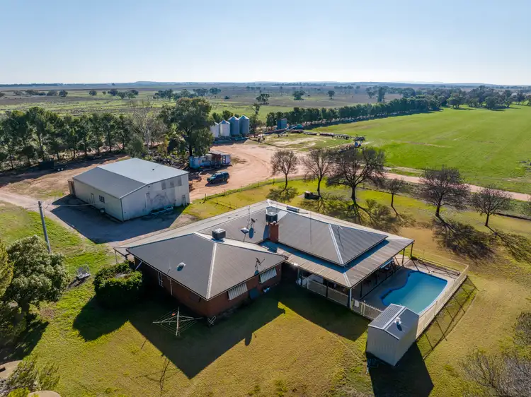 456 Boundary Road, Leeton NSW 2705