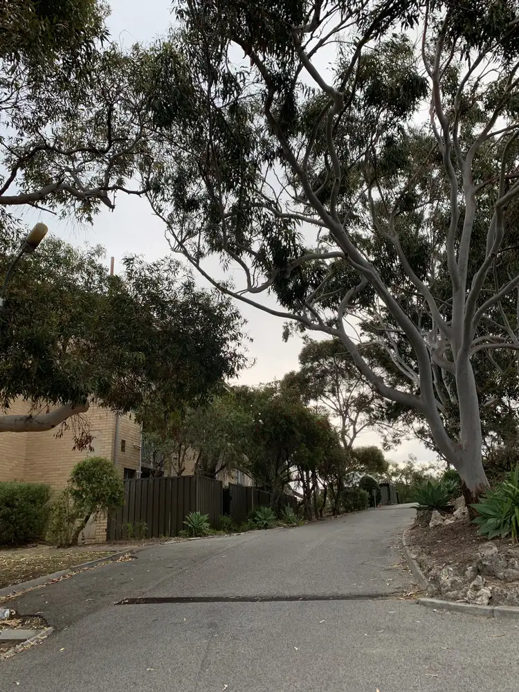 Main view of Homely unit listing, 11/84 Stanley Street, Scarborough WA 6019