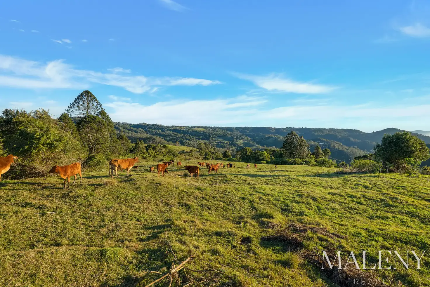 Main view of Homely land listing, LOT 2 Maleny Kenilworth Road, Witta QLD 4552