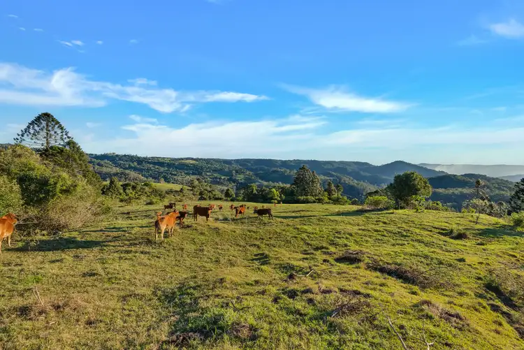 Second view of Homely land listing, LOT 2 Maleny Kenilworth Road, Witta QLD 4552
