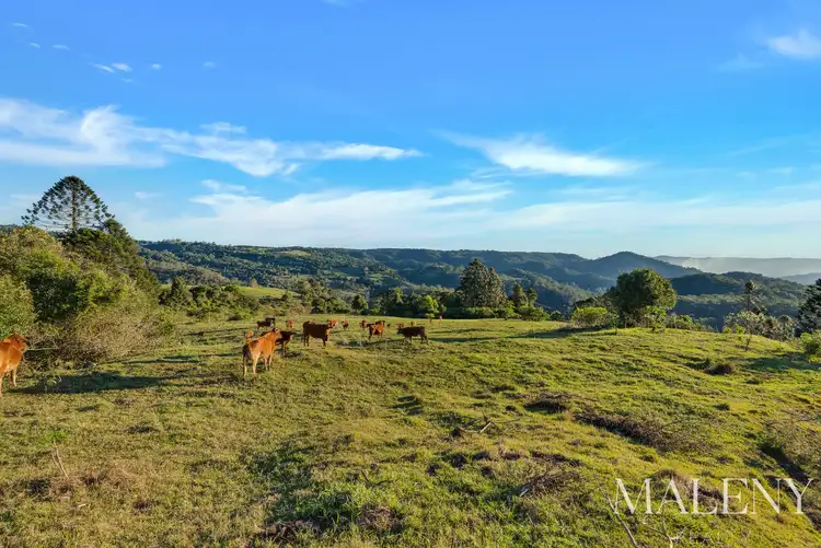 Third view of Homely land listing, LOT 2 Maleny Kenilworth Road, Witta QLD 4552