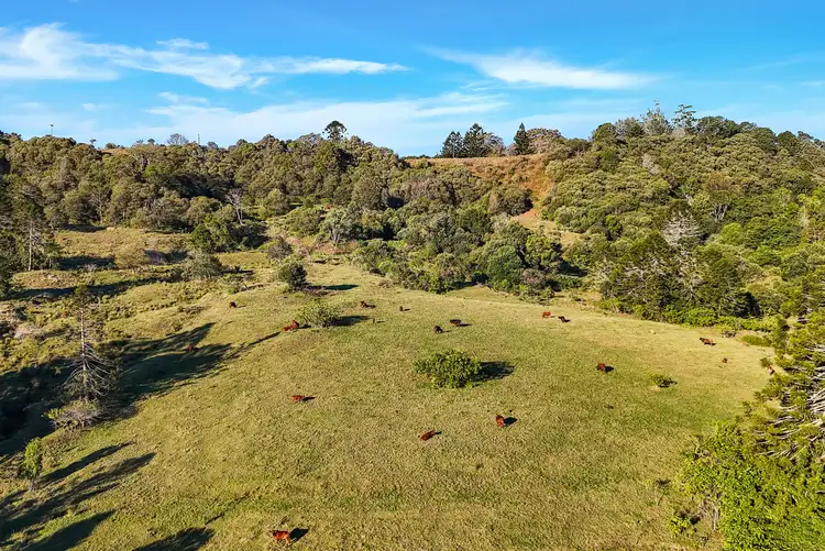 Third view of Homely land listing, LOT 2 Maleny Kenilworth Road, Witta QLD 4552