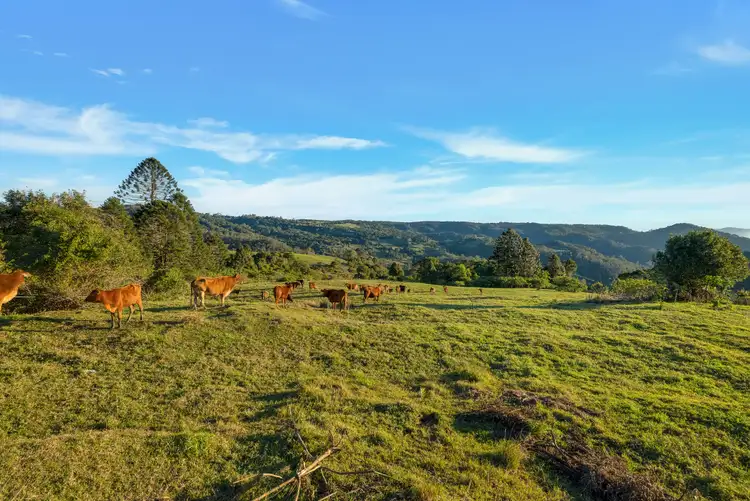 Fourth view of Homely land listing, LOT 2 Maleny Kenilworth Road, Witta QLD 4552