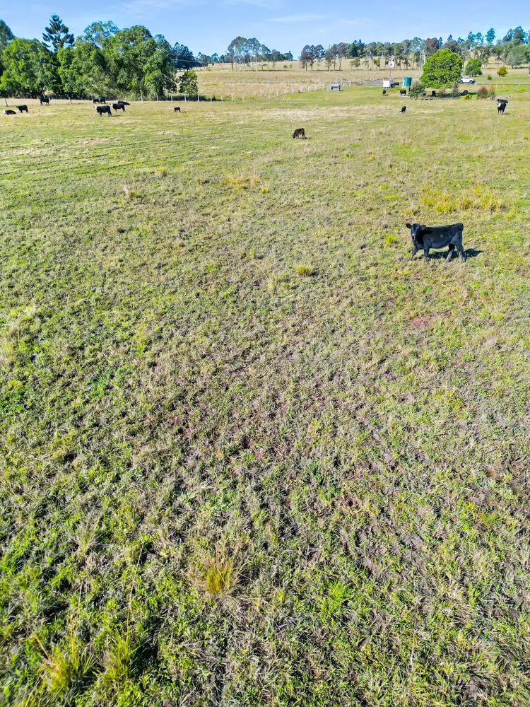 Sixth view of Homely rural property listing, 344 Sextonville Road, Casino NSW 2470