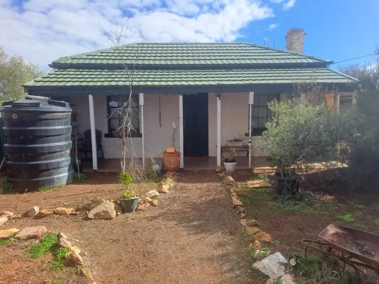 Main view of Homely house listing, 31 Mitchell Street, Terowie SA 5421