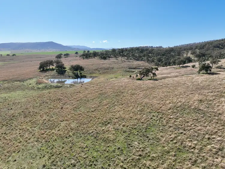 Fifth view of Homely rural property listing, "Sirius" East Turanville Road, Scone NSW 2337