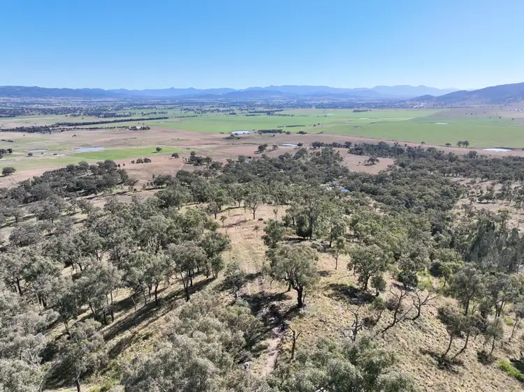 Seventh view of Homely rural property listing, "Sirius" East Turanville Road, Scone NSW 2337