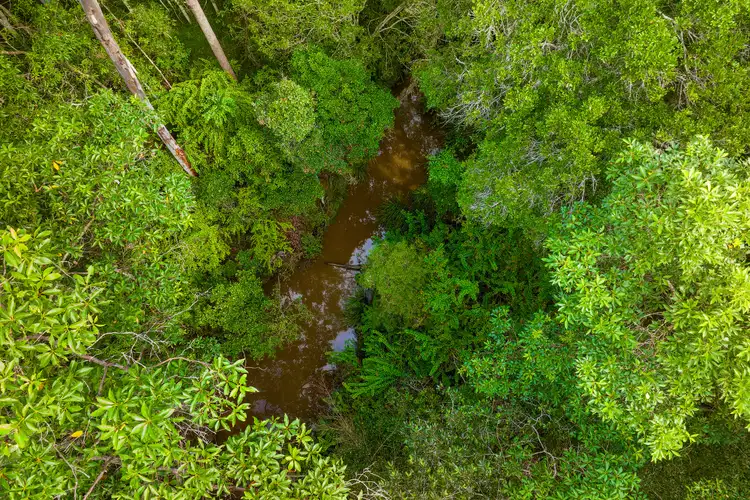 Third view of Homely rural property listing, Lot 984 Arborfourteen Road, Glenwood QLD 4570