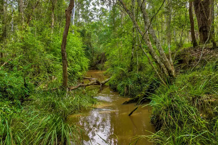 Fourth view of Homely rural property listing, Lot 984 Arborfourteen Road, Glenwood QLD 4570