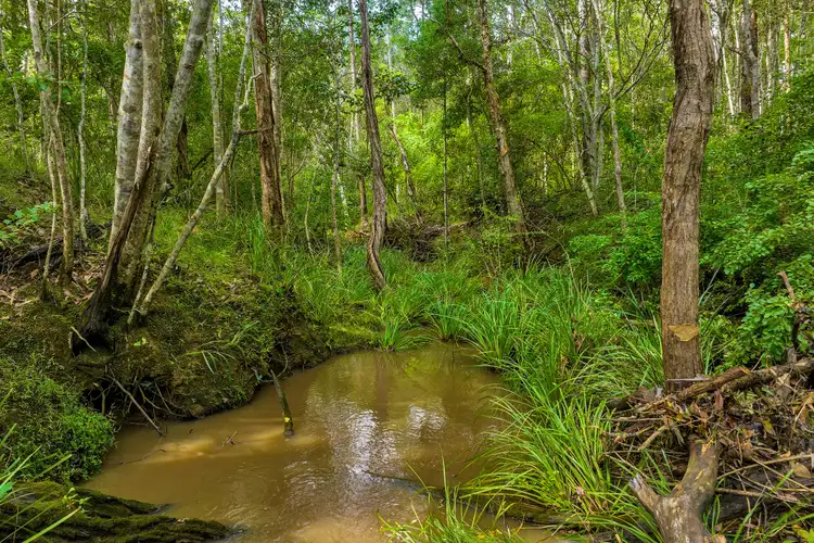 Fifth view of Homely rural property listing, Lot 984 Arborfourteen Road, Glenwood QLD 4570