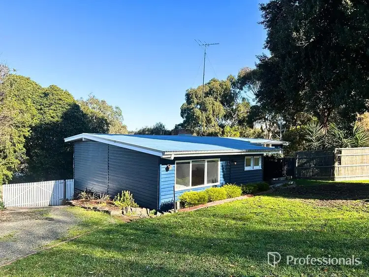 Main view of Homely house listing, 29 Carmichael Street, Hamilton VIC 3300