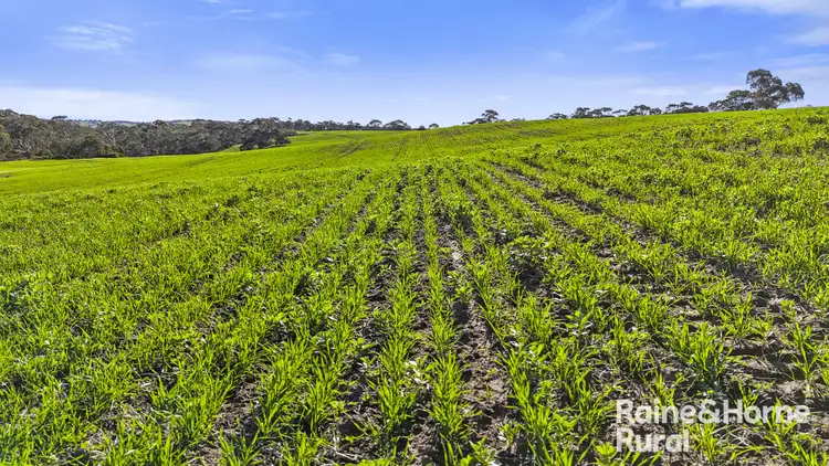 Fourth view of Homely rural property listing, 1296 Alexandrina Road, Finniss SA 5255