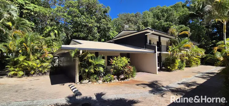 95 Davidson St (LYCHEE TREE)