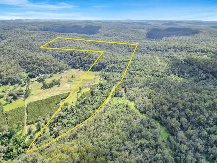 Second view of Homely rural property listing, Lot 12 Busbys Flat Road, Busbys Flat NSW 2469